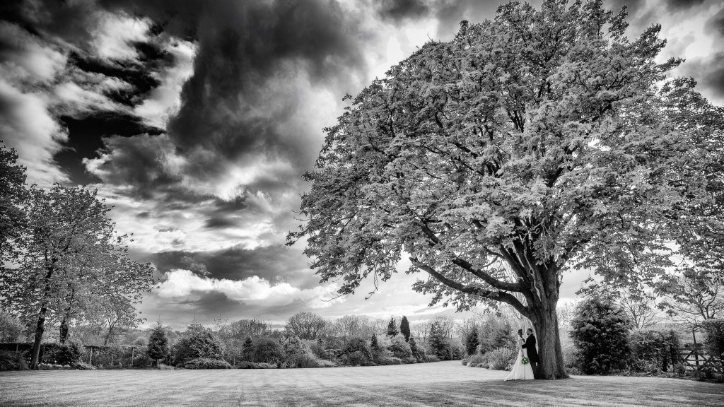 Dramatic Landscape Wedding